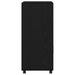 Cabinet cu roți Stejar Negru 55 x 40 x 91 cm Lemn compozit - WALTI WALTI