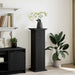 Raft de expunere Stejar Negru 31 x 30 x 90 cm Lemn compozit - WALTI WALTI
