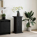 Raft de expunere Stejar Negru 31 x 30 x 60 cm Lemn compozit - WALTI WALTI