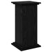 Raft de expunere Stejar Negru 31 x 30 x 60 cm Lemn compozit - WALTI WALTI