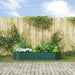 Strat înălțat de grădină Verde 240 x 80 x 44 cm Oțel - WALTI WALTI