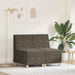 Unitate Sofa Modulară Fără Brațe 2 pcs Gri închis - WALTI WALTI