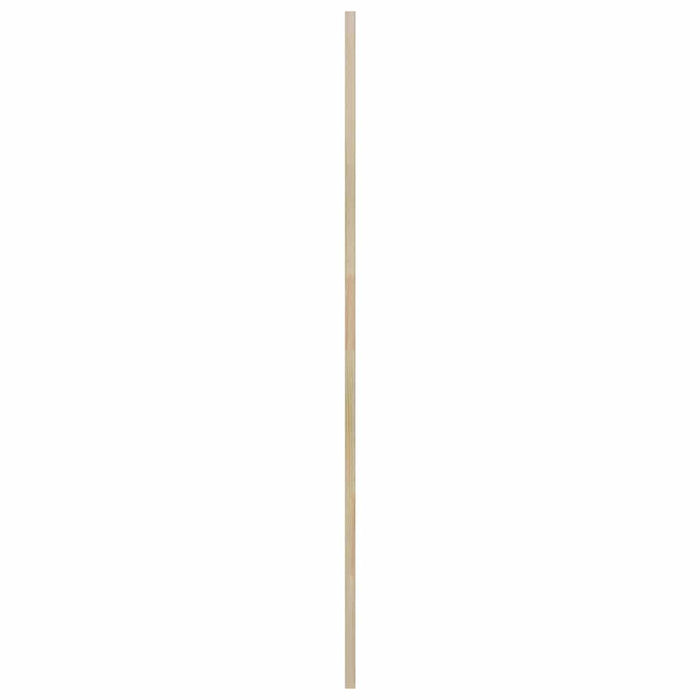 Ușă de Dulap natural 49,5 x 2,1 x 140,5 cm Lemn de pin masiv - WALTI WALTI