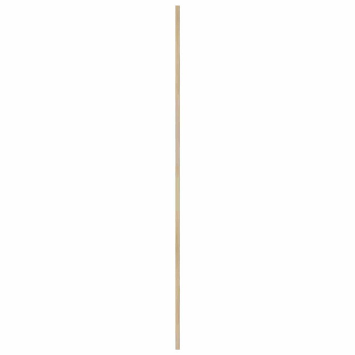 Ușă de Dulap natural 170 x 2,1 x 39,5 cm Lemn de pin masiv - WALTI WALTI
