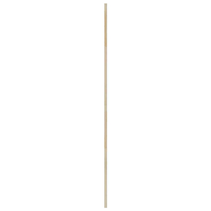 Ușă de Dulap natural 170 x 2,1 x 49,5 cm Lemn de pin masiv - WALTI WALTI