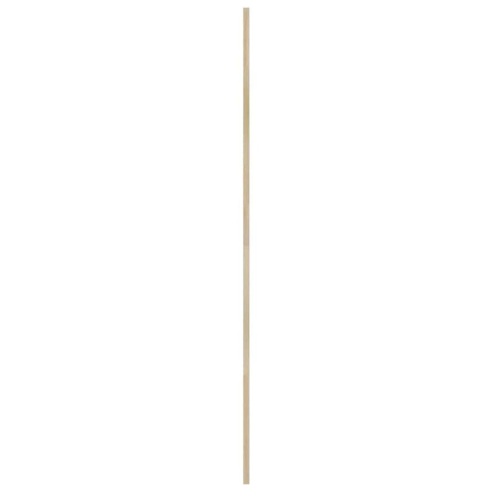 Ușă de Dulap natural 170 x 2,1 x 59,5 cm Lemn de pin masiv - WALTI WALTI
