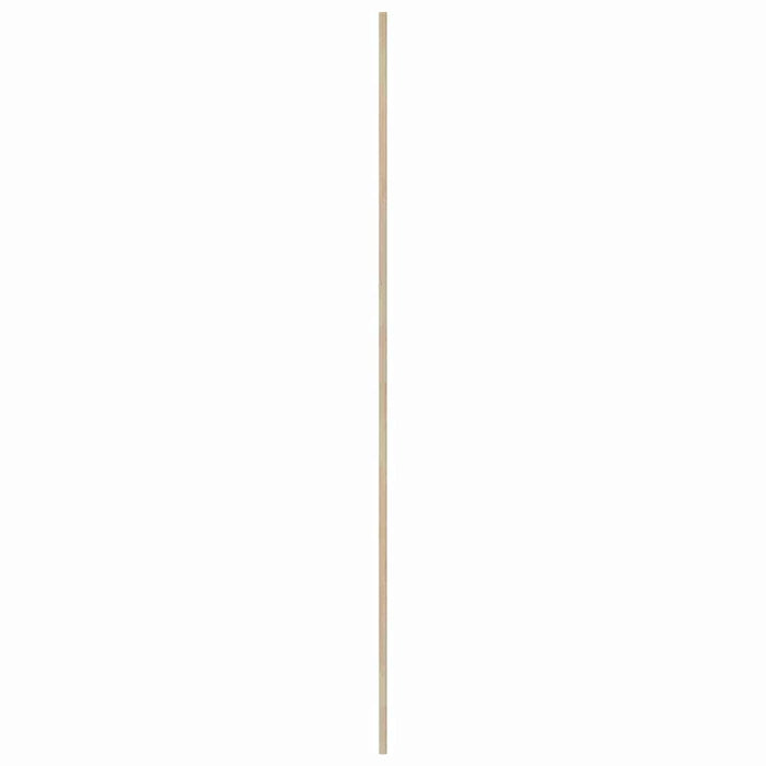 Ușă de Dulap cu ușă 2 pcs natural 201 x 2,1 x 49,5 cm - WALTI WALTI