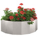 Jardinieră Argintiu 120 x 60 x 35 cm Oţel inoxidabil - WALTI WALTI