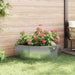 Jardinieră Argintiu 120 x 60 x 35 cm Oțel Galvanizat - WALTI WALTI