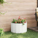 Jardinieră Alb 60 x 30 x 35 cm Oțel - WALTI WALTI
