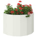 Jardinieră Alb 60 x 30 x 35 cm Oțel - WALTI WALTI