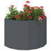 Jardinieră Antracit 60 x 30 x 35 cm Oțel - WALTI WALTI