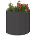 Jardinieră Negru 60 x 30 x 50 cm Oțel - WALTI WALTI