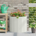 Jardinieră Alb 60 x 30 x 50 cm Oțel - WALTI WALTI