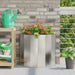 Jardinieră Argintiu 60 x 30 x 50 cm Oţel inoxidabil - WALTI WALTI