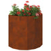 Jardinieră Ruginit 60 x 30 x 50 cm Oțel rezistent de intemperii - WALTI WALTI