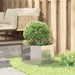 Jardinieră Argintiu 60 x 60 x 35 cm Oţel inoxidabil - WALTI WALTI
