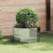 Jardinieră Argintiu 60 x 60 x 35 cm Oțel Galvanizat - WALTI WALTI