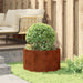 Jardinieră Ruginit 60 x 60 x 35 cm Oțel rezistent de intemperii - WALTI WALTI