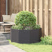 Jardinieră Negru 120 x 120 x 50 cm Oțel - WALTI WALTI