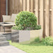 Jardinieră Argintiu 120 x 120 x 50 cm Oţel inoxidabil - WALTI WALTI