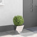 Jardinieră Argintiu 30 x 30 x 30 cm Oţel inoxidabil - WALTI WALTI