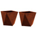 Jardinieră 2 pcs Ruginit 30 x 30 x 30 cm - WALTI WALTI