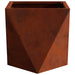 Jardinieră 2 pcs Ruginit 30 x 30 x 30 cm - WALTI WALTI
