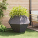 Jardinieră 2 pcs Negru 100 x 100 x 80 cm Oțel - WALTI WALTI