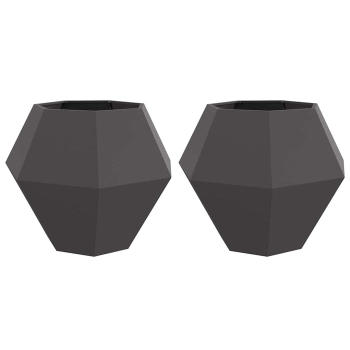 Jardinieră 2 pcs Negru 100 x 100 x 80 cm Oțel - WALTI WALTI