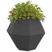 Jardinieră 2 pcs Negru 100 x 100 x 80 cm Oțel - WALTI WALTI