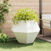 Jardinieră 2 pcs Alb 100 x 100 x 80 cm Oțel - WALTI WALTI
