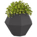 Jardinieră 2 pcs Negru 75 x 75 x 60 cm Oțel - WALTI WALTI
