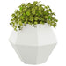 Jardinieră 2 pcs Alb 75 x 75 x 60 cm Oțel - WALTI WALTI