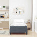 Pat boxspring cu saltea Gri închis 100 x 200 cm Catifea - WALTI WALTI