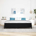Pat boxspring cu saltea cu saltea Negru 200 x 200 cm Catifea - WALTI WALTI