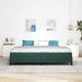 Pat boxspring cu saltea Verde închis 200 x 200 cm Catifea - WALTI WALTI