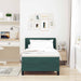 Pat cu Saltea cu Arcuri Negru 100x200 cm Catifea Verde închis - WALTI WALTI