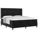 Pat cu arcuri cu saltea cu headboard Negru 180 x 200 cm Catifea - WALTI WALTI
