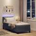 Pat cu arcuri cu headboard Gri închis 80 x 200 cm Catifea - WALTI WALTI