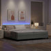 Pat cu arcuri cu headboard Gri deschis 200 x 200 cm Catifea - WALTI WALTI