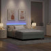 Pat cu arc LED cu benzi LED Gri deschis 160 x 200 cm Catifea - WALTI WALTI