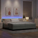Pat cu arc LED cu benzi LED Gri deschis 200 x 200 cm Catifea - WALTI WALTI