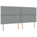 Pat cu arc LED cu saltea Gri deschis 200 x 200 cm țesătură - WALTI WALTI