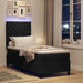 Pat cu arc LED cu saltea cu headboard Negru 80 x 200 cm Catifea - WALTI WALTI
