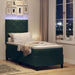 Pat cu arc LED cu headboard Verde închis 80 x 200 cm Catifea - WALTI WALTI
