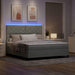 Pat cu arc LED cu headboard Gri deschis 180 x 200 cm Catifea - WALTI WALTI