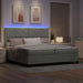 Pat cu arc LED cu headboard Gri deschis 200 x 200 cm Catifea - WALTI WALTI