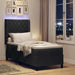 Pat cu arcuri cu saltea cu led Negru 80 x 200 cm Catifea - WALTI WALTI