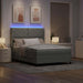 Pat cu arcuri cu benzi LED Gri deschis 160 x 200 cm Catifea - WALTI WALTI